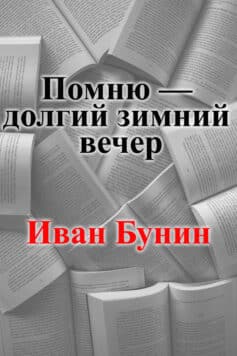 Помню — долгий зимний вечер